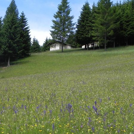 Hotel Isolabella Wellness Fiera Di Primiero Buitenkant foto